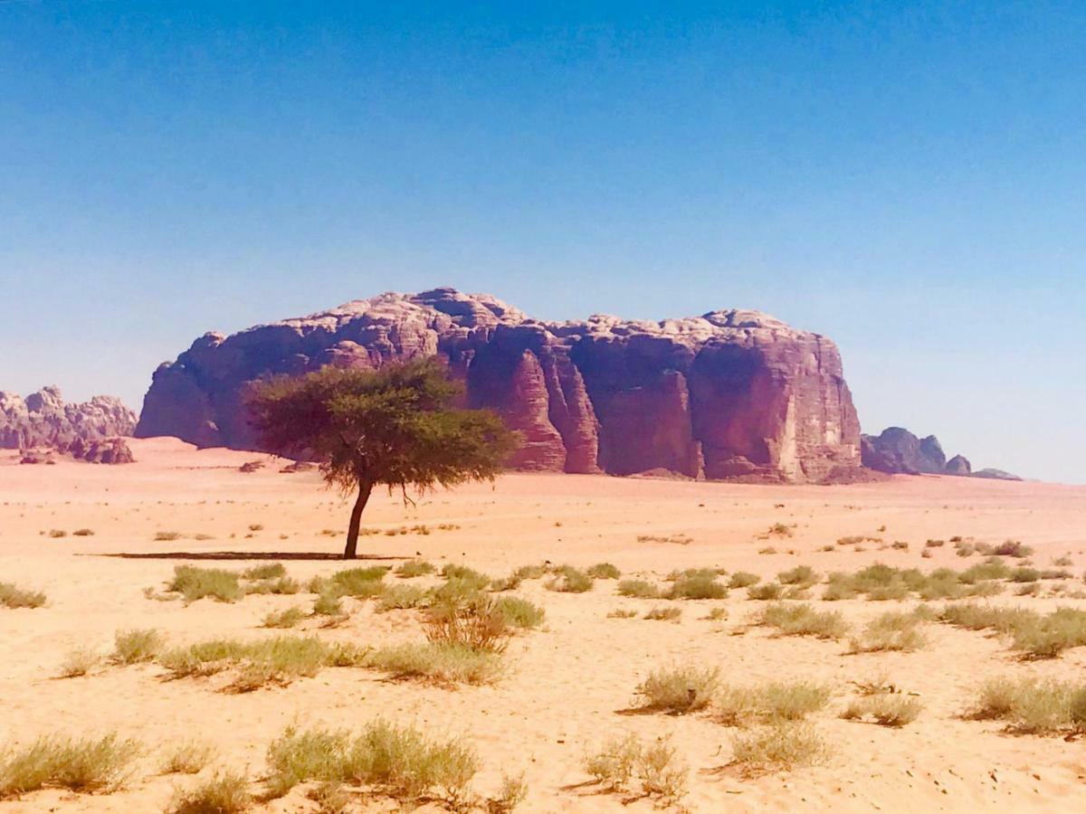 Wadi Rum Fun Time Tour'S Dış mekan fotoğraf